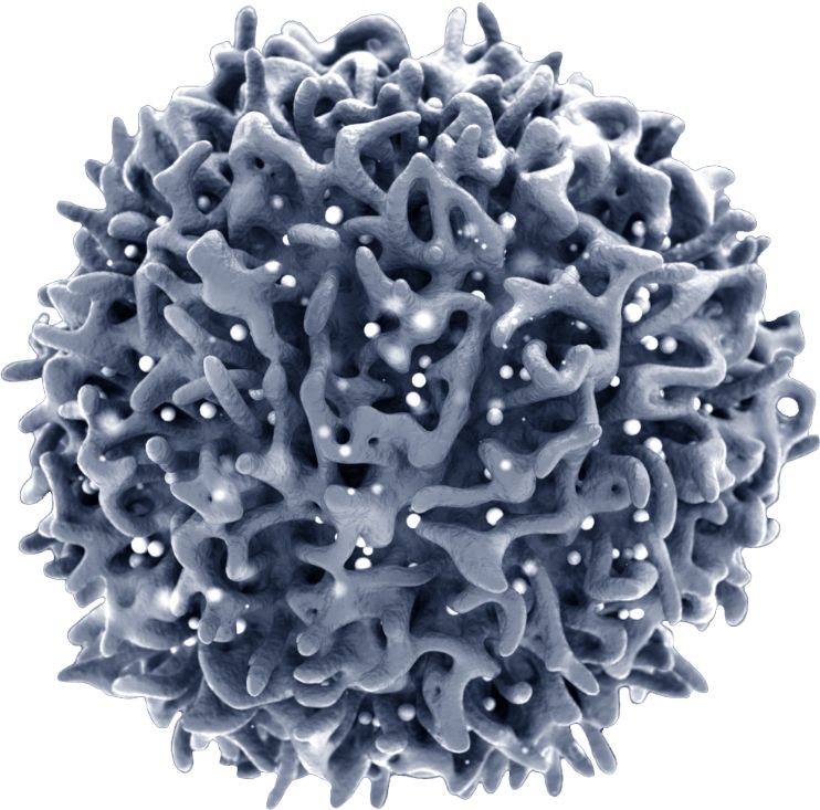 t-cell image